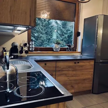 Siedlisko Musialove Nad Jeziorem 8 Osob Holiday home