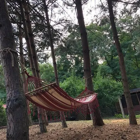 Holiday home Siedlisko Musialove Nad Jeziorem 8 Osob Lezce